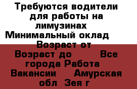 Требуются водители для работы на лимузинах. › Минимальный оклад ­ 40 000 › Возраст от ­ 28 › Возраст до ­ 50 - Все города Работа » Вакансии   . Амурская обл.,Зея г.